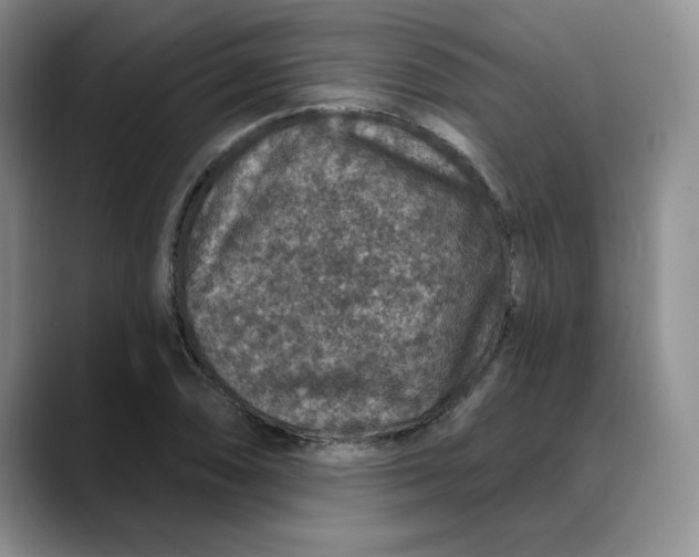 X0000088431074200706121446