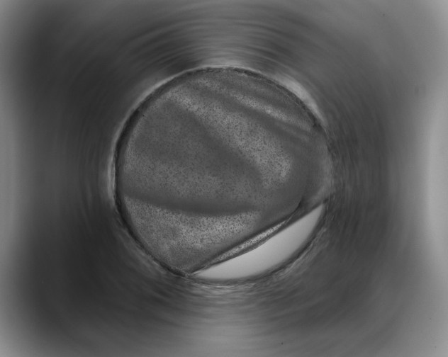 X0000088431076200706121446