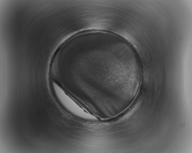 X0000088431077200706121446