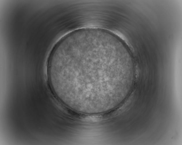 X0000088431078200706121446