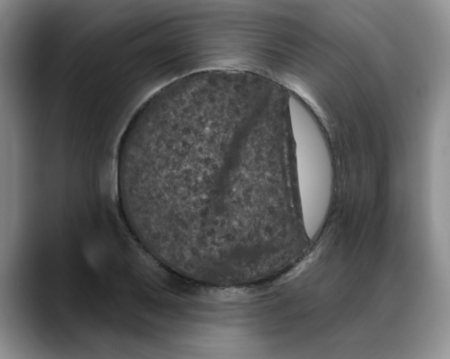 X0000088431079200706121446