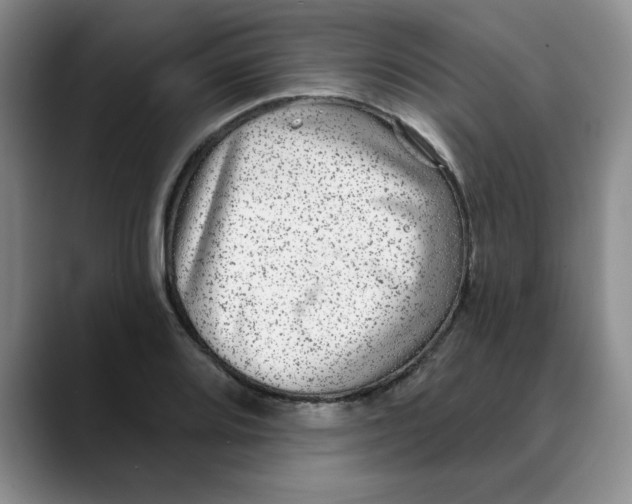 X0000088431080200706121446