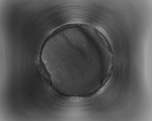 X0000088431081200706121446