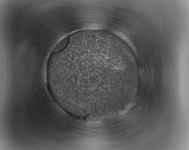 X0000088431083200706121446