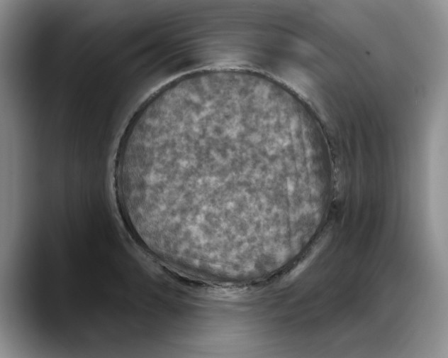 X0000088431086200706121446