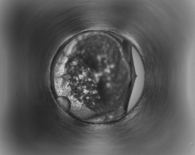 X0000088431087200706121446