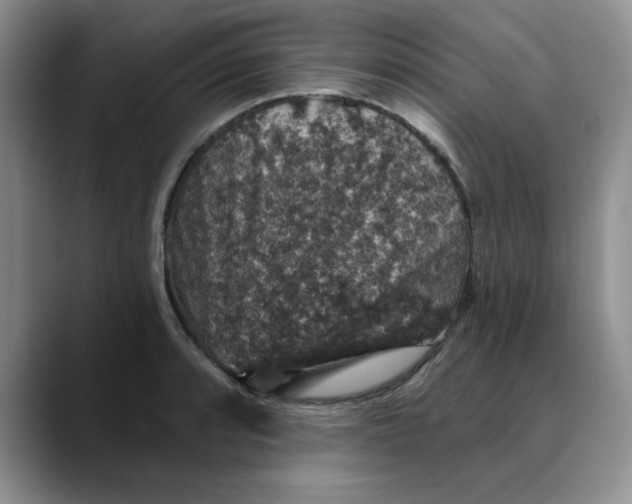 X0000088431088200706121446