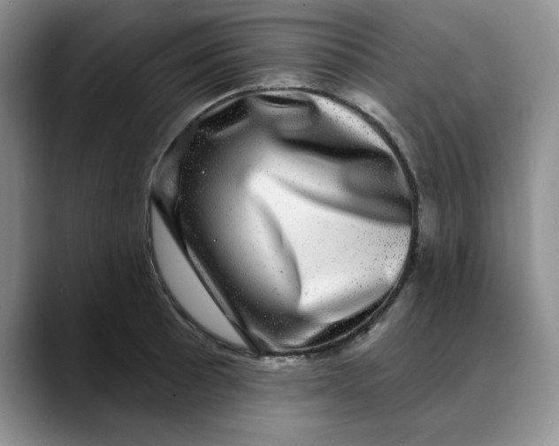 X0000088431089200706121446