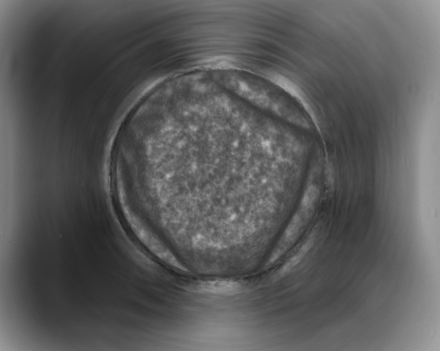 X0000088431090200706121446