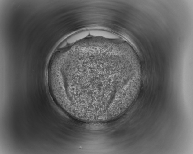 X0000088431092200706121446