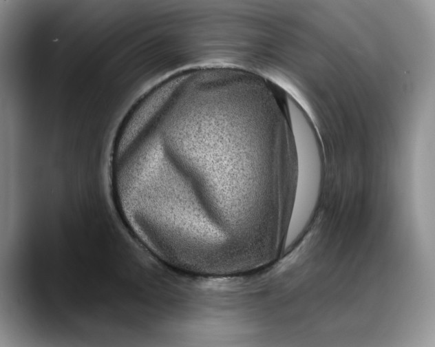 X0000088431093200706121446