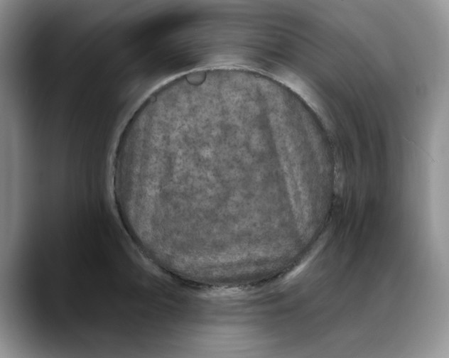 X0000088431094200706121446