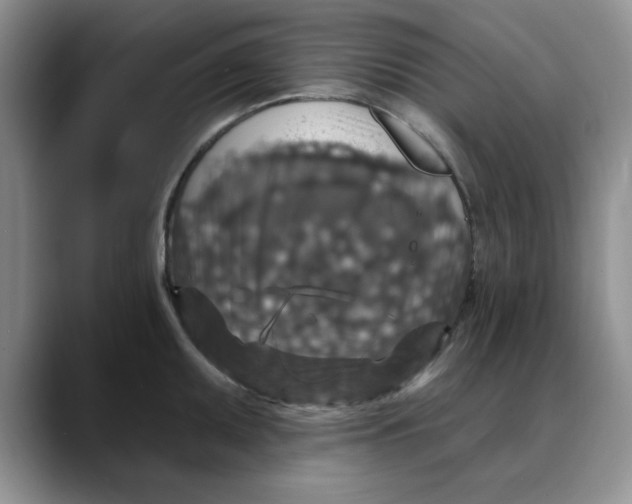 X0000088431095200706121446