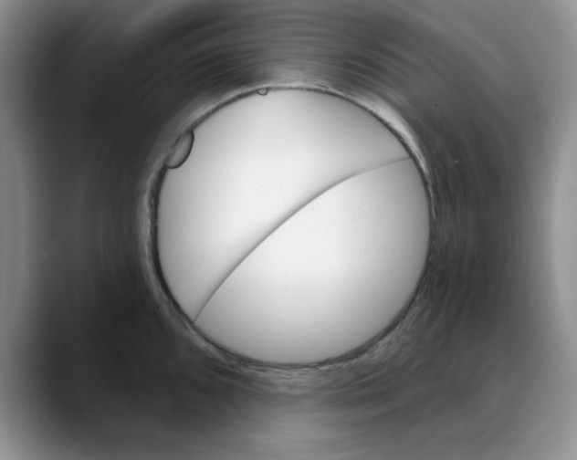 X0000088431096200706121446