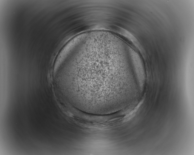 X0000088431097200706121446