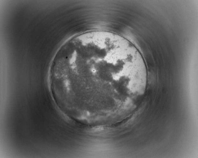 X0000088431098200706121446