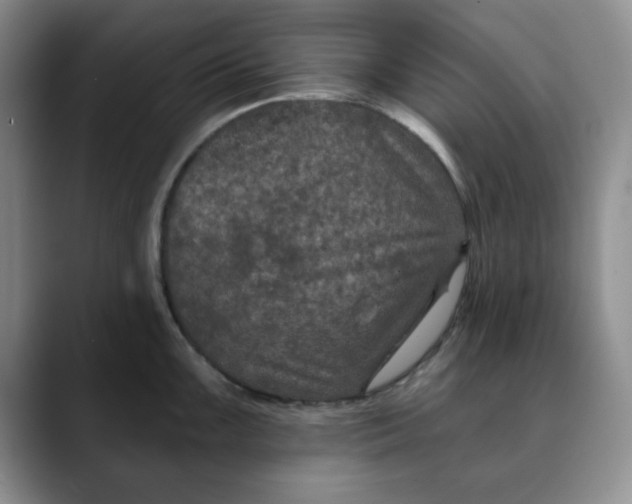 X0000088431099200706121446