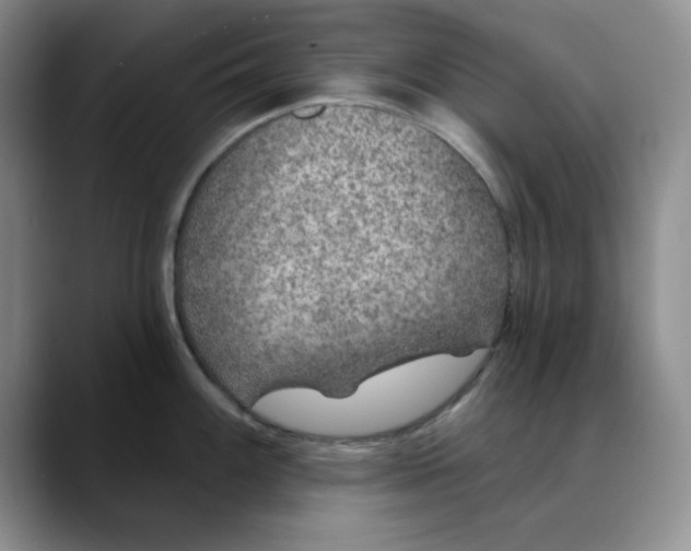 X0000088431100200706121446