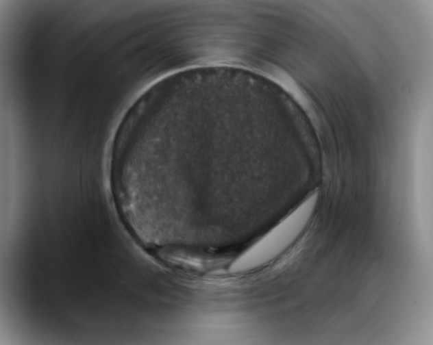 X0000088431102200706121446