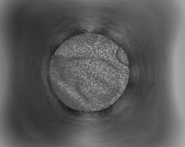 X0000088431105200706121445