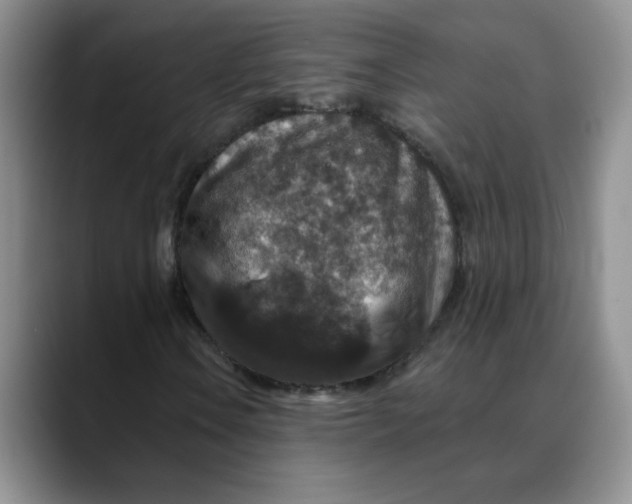 X0000088431106200706121445