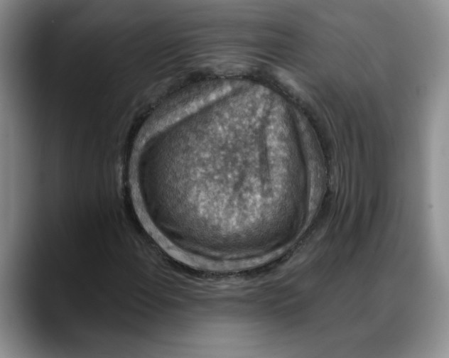 X0000088431108200706121445