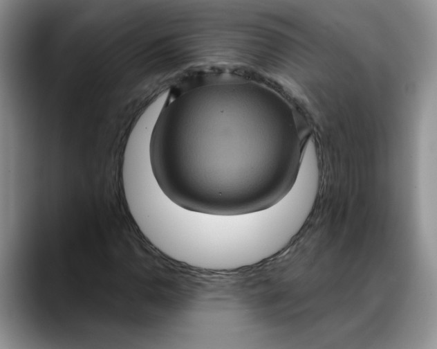 X0000088431110200706121445