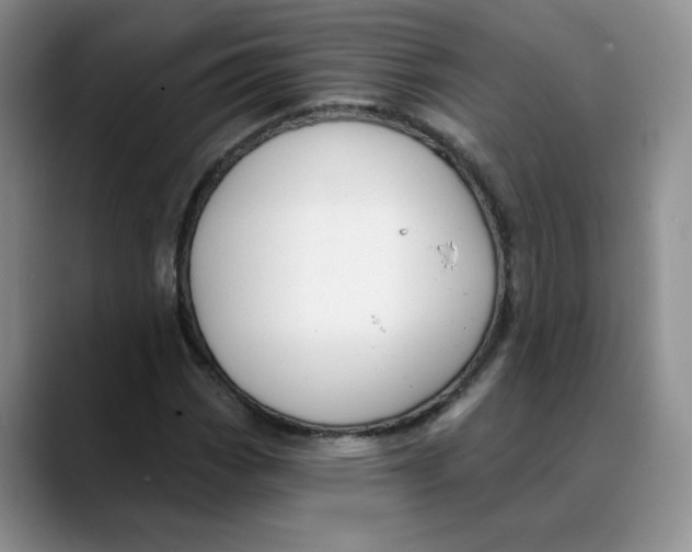 X0000088431113200706121445