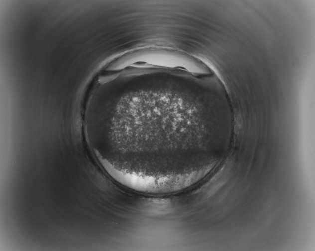 X0000088431115200706121445