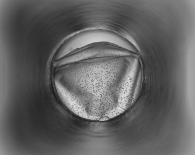 X0000088431116200706121445