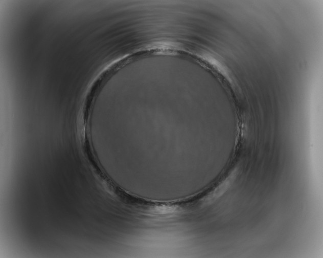 X0000088431117200706121445