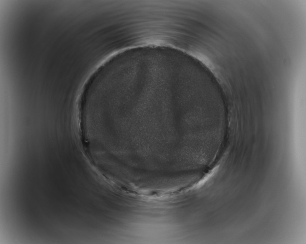 X0000088431118200706121446