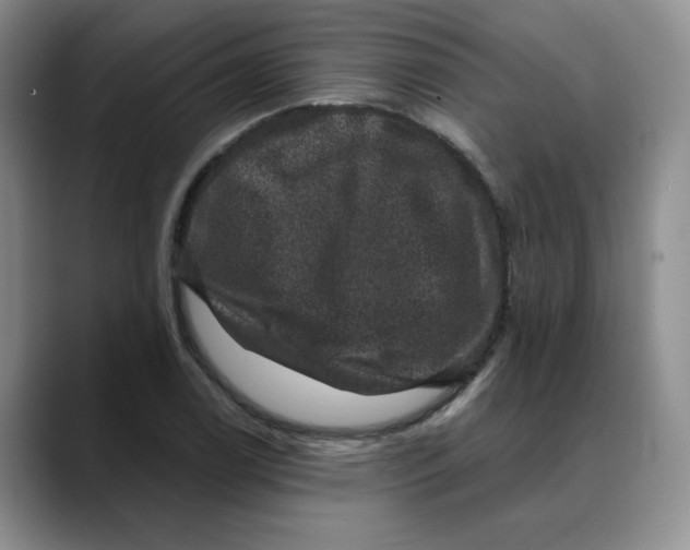 X0000088431122200706121446