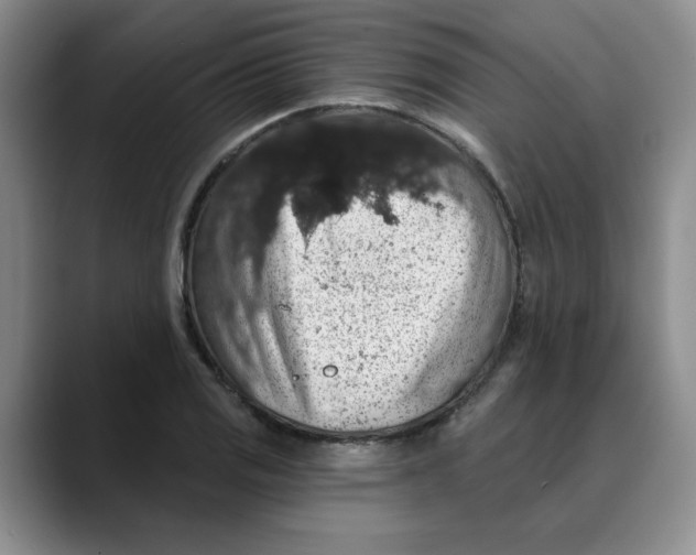 X0000088431125200706121446