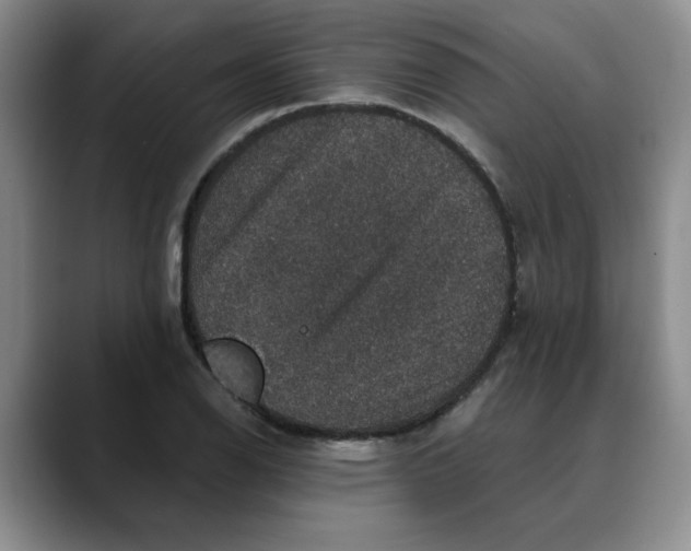 X0000088431126200706121446