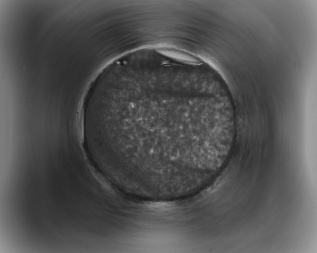 X0000088431127200706121446