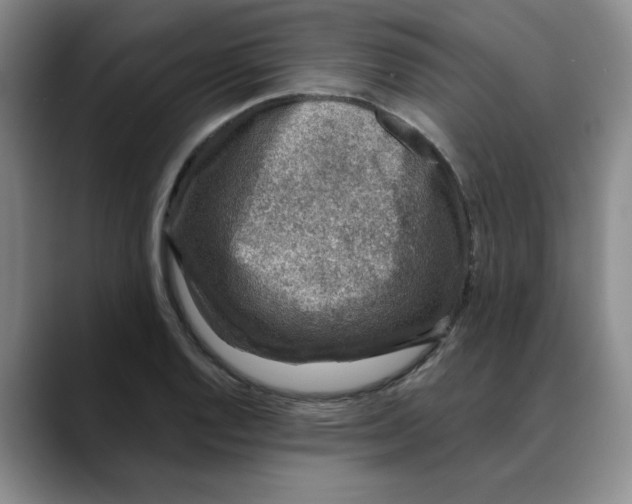 X0000088431128200706121446