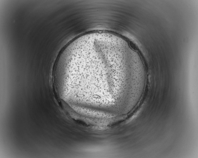 X0000088431129200706121446