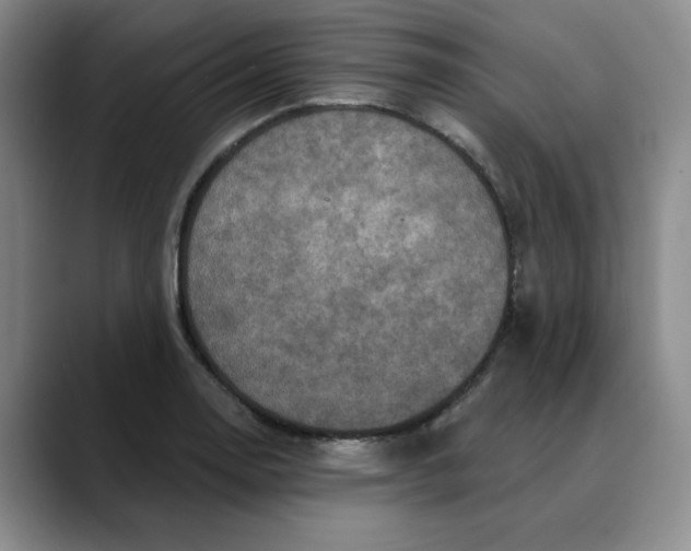 X0000088431130200706121446