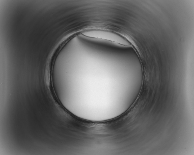 X0000088431131200706121446