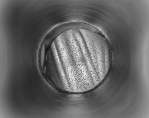 X0000088431134200706121446