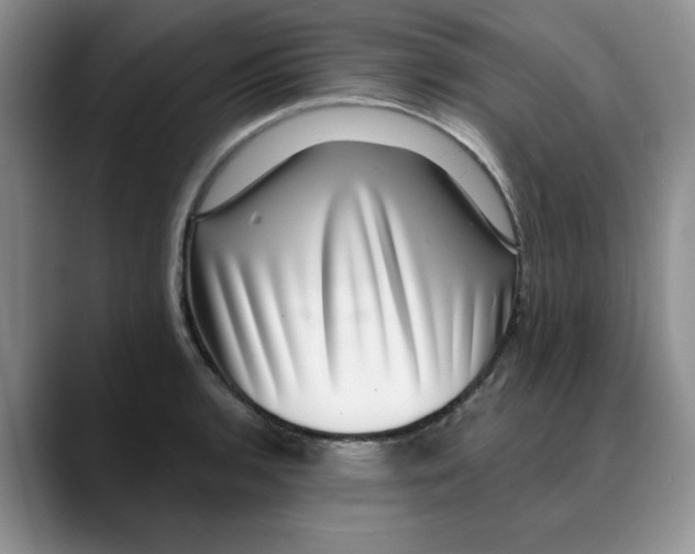 X0000088431136200706121446