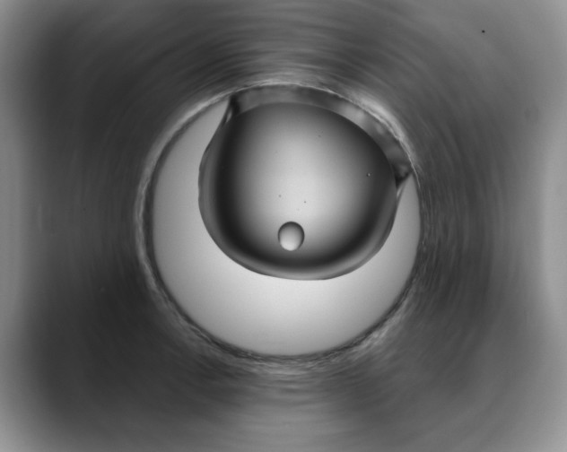 X0000088431138200706121446