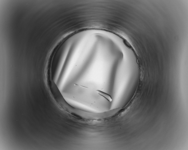 X0000088431139200706121446