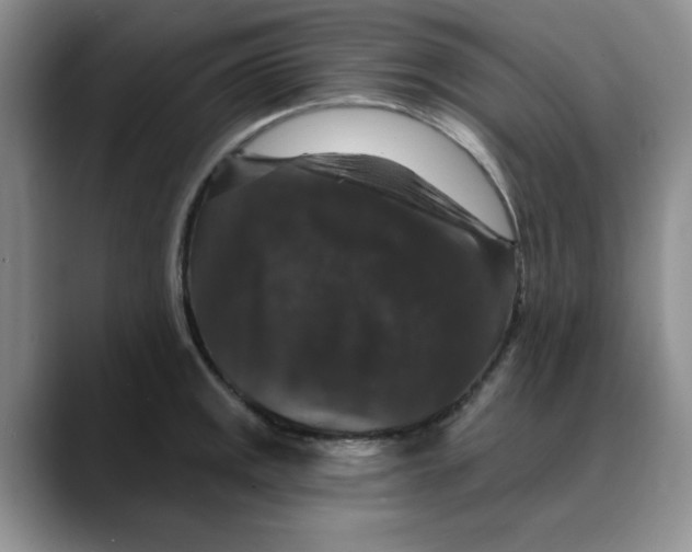 X0000088431141200706121446