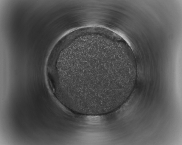 X0000088431142200706121446