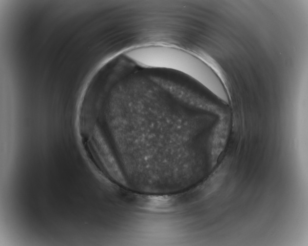 X0000088431144200706121446