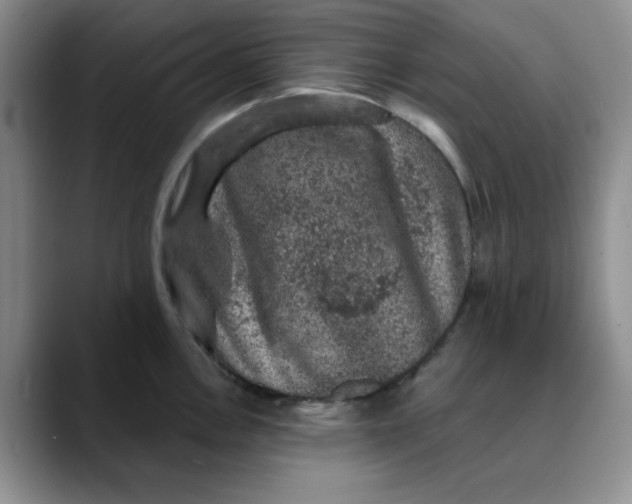 X0000088431146200706121446