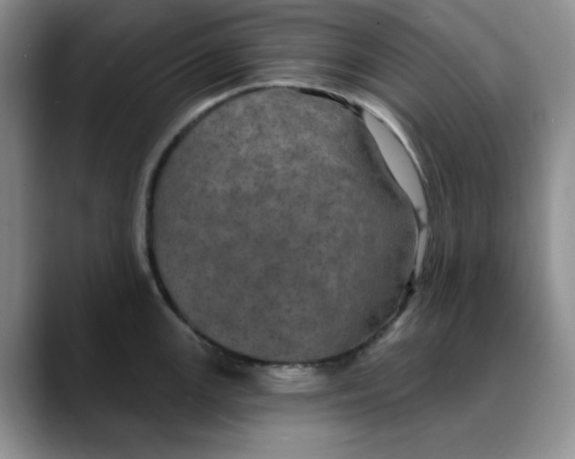 X0000088431147200706121446