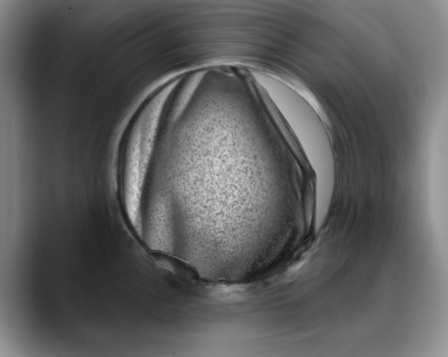 X0000088431148200706121446